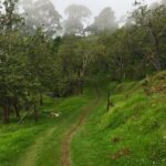 Kruthika Jayakumar Instagram – 🌳🌈 Kodaikanal, tamil nadu