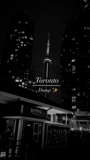 Kruthika Jayakumar Instagram - The gist of it ✨Spring cleaned my gallery for this 🫠

#toronto #inthesix #dump