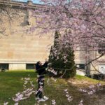 Kruthika Jayakumar Instagram - Spring really sprung into full bloom 🌸🌷