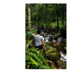 Kruthika Jayakumar Instagram – Stroll 🌾
.
.
.
.
.
.
.
#trek #adventuretime #kerala #waterfalls #green #sandalwood #traveldiaries #travelgram #tb #throwback #latergram #ootd #tollywood #yogisofinstagram #yogainspiration #fitfam #naturephotography #natureatitsbest #forest_captures Wayanad, India