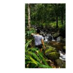 Kruthika Jayakumar Instagram - Stroll 🌾 . . . . . . . #trek #adventuretime #kerala #waterfalls #green #sandalwood #traveldiaries #travelgram #tb #throwback #latergram #ootd #tollywood #yogisofinstagram #yogainspiration #fitfam #naturephotography #natureatitsbest #forest_captures Wayanad, India