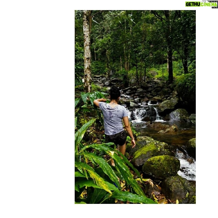 Kruthika Jayakumar Instagram - Stroll 🌾 . . . . . . . #trek #adventuretime #kerala #waterfalls #green #sandalwood #traveldiaries #travelgram #tb #throwback #latergram #ootd #tollywood #yogisofinstagram #yogainspiration #fitfam #naturephotography #natureatitsbest #forest_captures Wayanad, India