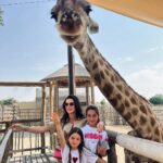 Kseniya Borodina Instagram - It's selfie time😂 🦒