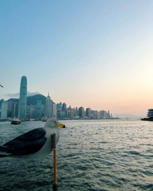 Kun Instagram - Hongkong vibe🚕