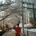 Kunpimook Bhuwakul Instagram - 🌸🌸🌸🌸🌸🌸🌸🌸