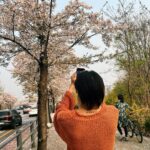 Kunpimook Bhuwakul Instagram - 🌸🌸🌸🌸🌸🌸🌸🌸