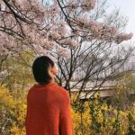 Kunpimook Bhuwakul Instagram - 🌸🌸🌸🌸🌸🌸🌸🌸