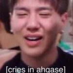 Kunpimook Bhuwakul Instagram - 10YEARS GOT7💚 I LOVR YOU AHGASE🐥 always be my little baby birds #GOT7
