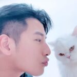 Kurt Chou Instagram - 只可蹭不可親的小波 我兩位狗兒子相繼去了天堂之後，還有一隻波斯貓小波跟一隻可爾必思😂妞妞陪伴我們一家三口，老婆總說小波把她當姊姊，把我當男友，但她很矜持！