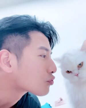 Kurt Chou Instagram - 只可蹭不可親的小波
我兩位狗兒子相繼去了天堂之後，還有一隻波斯貓小波跟一隻可爾必思😂妞妞陪伴我們一家三口，老婆總說小波把她當姊姊，把我當男友，但她很矜持！