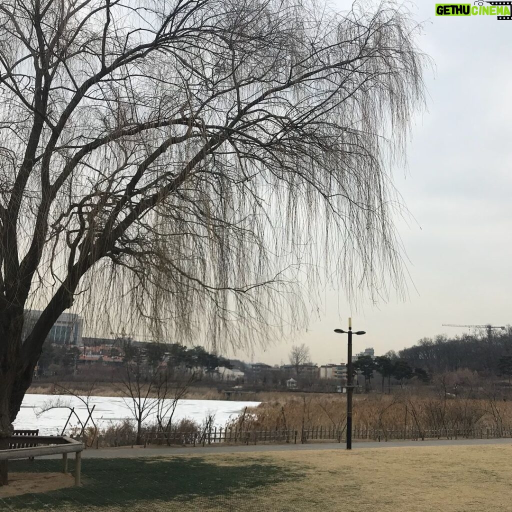 Kwon Hyuk Instagram - 반년만에 다 떨어졌다 #온수 #오류동 #푸른수목원 #겨울