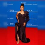 Kyla Pratt Instagram - White House Correspondence Dinner @thecreativecoalition @v.msmith @gauravguptaofficial @amandawilsonmakeup @browngirlbraidsofficial Washington D.C.