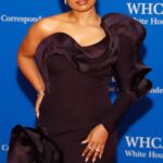 Kyla Pratt Instagram - White House Correspondence Dinner @thecreativecoalition @v.msmith @gauravguptaofficial @amandawilsonmakeup @browngirlbraidsofficial Washington D.C.