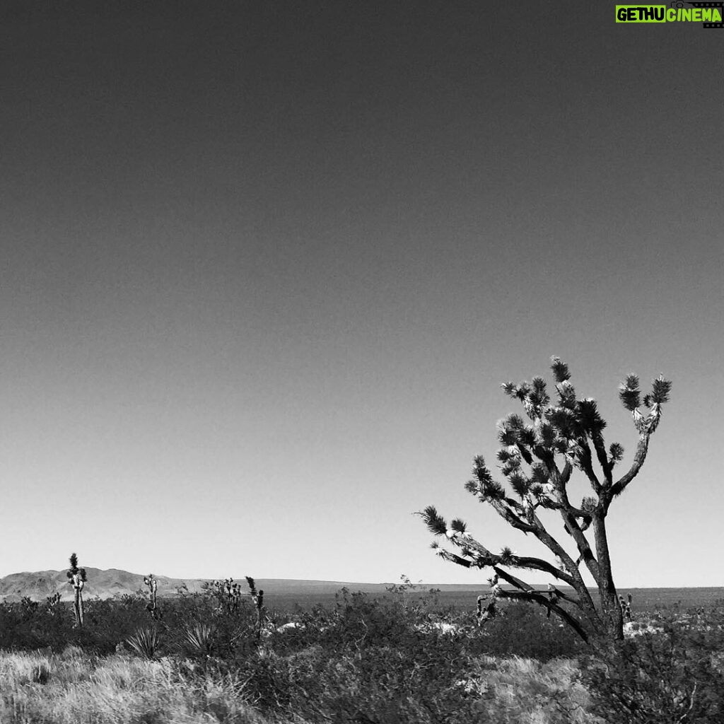 Kyle Dean Massey Instagram - Mojave Desert --- when we still had gas. Mojave National Preserve