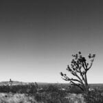 Kyle Dean Massey Instagram - Mojave Desert --- when we still had gas. Mojave National Preserve