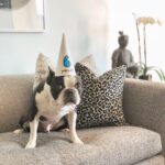 Kyle Dean Massey Instagram - His excitement is palpable! Happy Birthday Puppy.