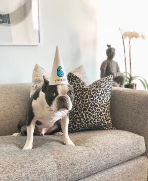 Kyle Dean Massey Instagram - His excitement is palpable!  Happy Birthday Puppy.