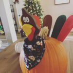 Kyle Greenwood Instagram - turkage