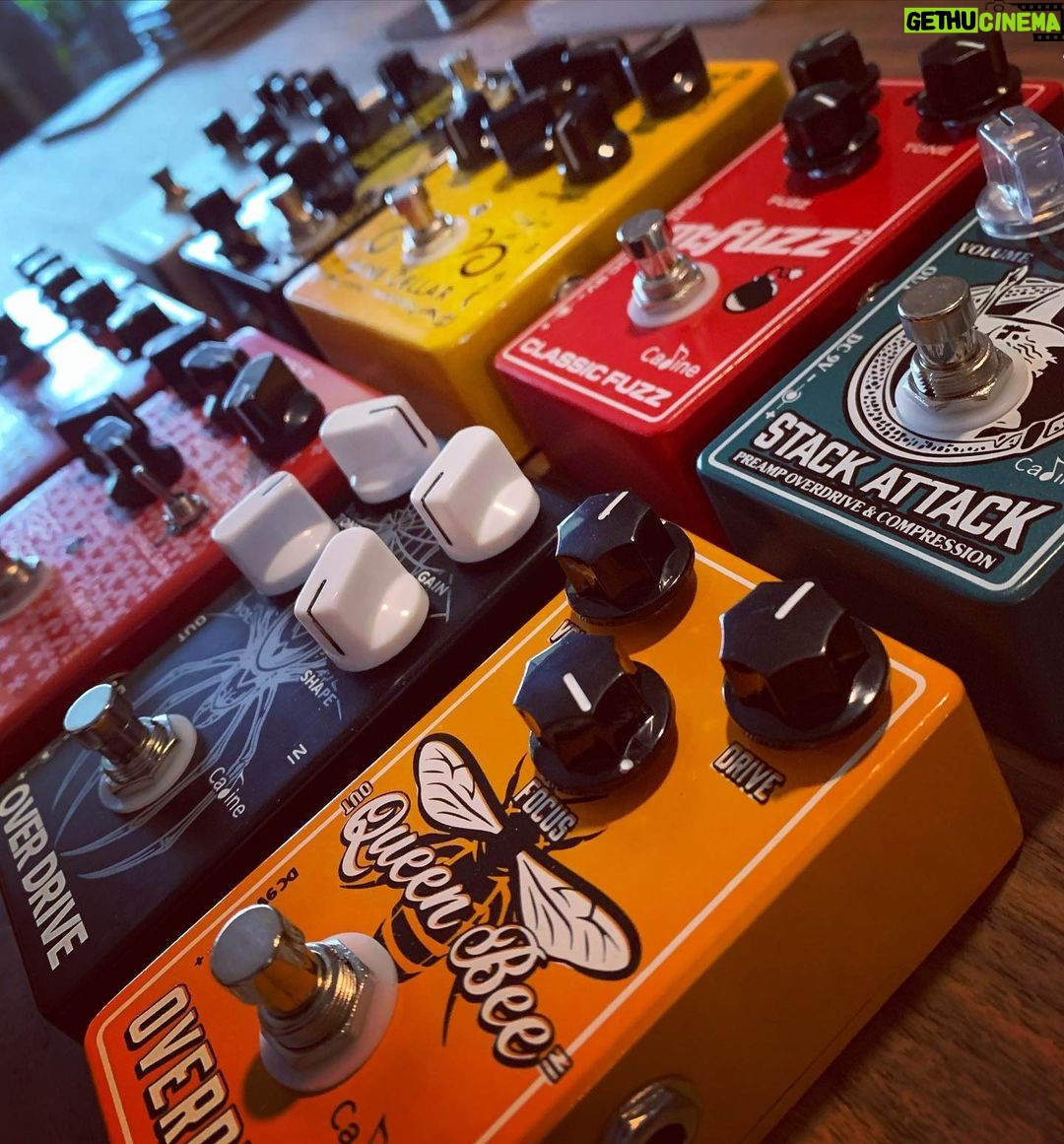 Kyle Greenwood Instagram - Major thanks to @calinetechnology for the hookup on some rad effect pedals for the bass. Check out their page for amazing gear of all kinds! Now I just have to learn how to use them 😂