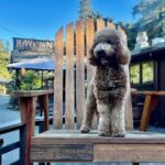 Kyle Schmid Instagram - Much needed Big Sur getaway. Big Sur, California