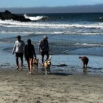 Kyle Schmid Instagram - Much needed Big Sur getaway. Big Sur, California