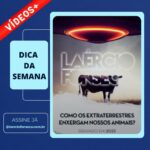 Laércio Fonseca Instagram - 🎥 Assista a uma Vídeoaula Transformadora! 🌟 Essa aula está disponível em nosso novo sistema de assinatura. Se você é assinante, basta acessar nosso site, entrar com seu login e senha e procurar na busca esse título, aí é só clicar e assistir 😃😍🤩 Explore temas relevantes e mergulhe em conteúdo de alta qualidade, apresentado pelo professor Laércio Fonseca. Aproveite essa oportunidade de aprendizado e crescimento pessoal. Assine agora e comece a aproveitar o vasto mundo de possibilidades que nossas vídeoaulas oferecem! 📚🎥 🔺Se você ainda não é, acesse www.laerciofonseca.com.br para saber mais como assinar ou nos chame no privado que explicamos para você 👍😉