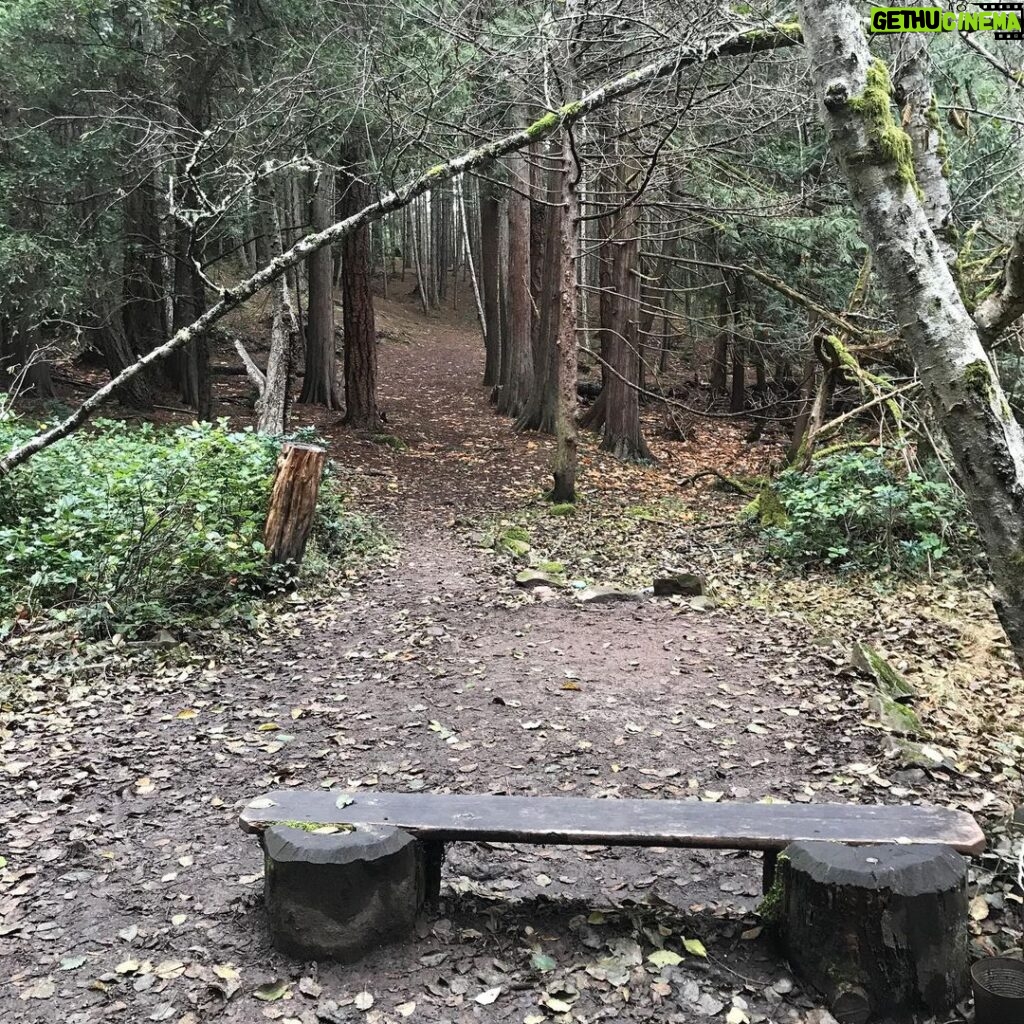 Lachlan Patterson Instagram - The Pender Island BC disc golf course is so much fun. i spent 22 days out here shreddin this beautiful course. Pender Island, British Columbia