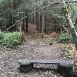 Lachlan Patterson Instagram – The Pender Island BC disc golf course is so much fun. i spent 22 days out here shreddin this beautiful course. Pender Island, British Columbia