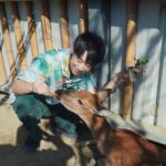 Lai Instagram - 這次趁著假日來到最近很夯的打卡景點 就是位於新竹的「廢物媽媽育兒農場」 只能說 看到小動物們真的馬上融化耶！！！ 不管是情侶 朋友 或是帶小孩的爸爸媽媽們 都很適合來這邊 因為環境整理的很乾淨 整個農場聞起來 不會臭臭的 重點是 農場裡的動物非常的親人 也可以近距離的接觸 旁邊也都有農場的工作人員們 隨時注意狀況 跟細心介紹 這次穿著MiFresa 財財的手作基地 特別手工做給我的可愛襯衫！！！ 馬上有小朋友的媽媽 跑過來問我在哪裡買的😂 他們家的衣服都是日系手作風格 每一個件都是量身打造 不會撞衫唷～ 還有一個最可愛的是 他們也有做親子服 如果有去逛農場的朋友們 也會看到他們的店面 或是網路上詢問唷～～ 🔺廢物媽媽育兒農場是採取「網路預約」的唷 🔺農場營業時間：9:00am ~ 17:00pm 🔺農場地址 ：新竹市香山區海埔路518巷75弄85之1號 @eachone_tw