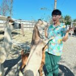 Lai Instagram - 這次趁著假日來到最近很夯的打卡景點 就是位於新竹的「廢物媽媽育兒農場」 只能說 看到小動物們真的馬上融化耶！！！ 不管是情侶 朋友 或是帶小孩的爸爸媽媽們 都很適合來這邊 因為環境整理的很乾淨 整個農場聞起來 不會臭臭的 重點是 農場裡的動物非常的親人 也可以近距離的接觸 旁邊也都有農場的工作人員們 隨時注意狀況 跟細心介紹 這次穿著MiFresa 財財的手作基地 特別手工做給我的可愛襯衫！！！ 馬上有小朋友的媽媽 跑過來問我在哪裡買的😂 他們家的衣服都是日系手作風格 每一個件都是量身打造 不會撞衫唷～ 還有一個最可愛的是 他們也有做親子服 如果有去逛農場的朋友們 也會看到他們的店面 或是網路上詢問唷～～ 🔺廢物媽媽育兒農場是採取「網路預約」的唷 🔺農場營業時間：9:00am ~ 17:00pm 🔺農場地址 ：新竹市香山區海埔路518巷75弄85之1號 @eachone_tw