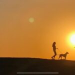 Larissa Andrade Instagram - Children of the sun—— @ikayaandrade @mynameisiggyboy 💞 . . . . #californialove #sunsetshots #loveforever Venice Beach, Los Angeles