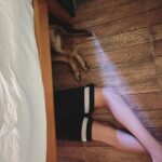 Larissa Bracher Instagram - -“Cadê Valentim e Lira” -“Escondendo debaixo da cama, uai.” (Cenas prosaicas das férias na roça..) #minasgerais