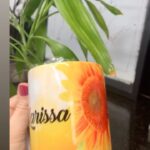 Larissa Bracher Instagram - Quem me acompanha por aqui sabe que eu realmente tenho rede social de afetos. Eu nao posto toda semana (e meu algoritmo me lembra isso toda hora..rs), mas quando posso, Converso c amigos e pessoas que não conheço, no insta. Essa foto é uma homenagem a todos com quem falo por aqui, que me acompanham, torcem por mim e já são importantes na minha vida! Recebo tanto carinho que nem sei! 😆 olhem esse presente que a @rosileniblancopsicologa fez pra mim. Amo quando as pessoas pensam em mim com o símbolo do girassol, essa música que eu tanto amo “girassol da cor de seu cabelo”… obrigada ao carinho “inbox”..🥳😆 #afeto