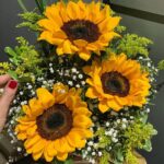 Larissa Bracher Instagram - O nome dessa flor já é poesia pura. Uma ordem pra luz: Gira Sol! Vai, gira! E a luz girou a pino por aqui, me dando amor, um ciclo novo, intenso e muito alinhado com o que minha alma me diz que veio fazer nessa vida. Que a gente tenha muitos motivos pra se emocionar de amor! #🌻