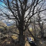 Larissa Bracher Instagram – Deitando nas paisagens Patagônicas.(cachoeira congelada e mirante de los condores em el chalten) #planking #patagonia #elchalten #fitzroy #calafate fotos @paulinhomoska