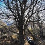Larissa Bracher Instagram - Deitando nas paisagens Patagônicas.(cachoeira congelada e mirante de los condores em el chalten) #planking #patagonia #elchalten #fitzroy #calafate fotos @paulinhomoska