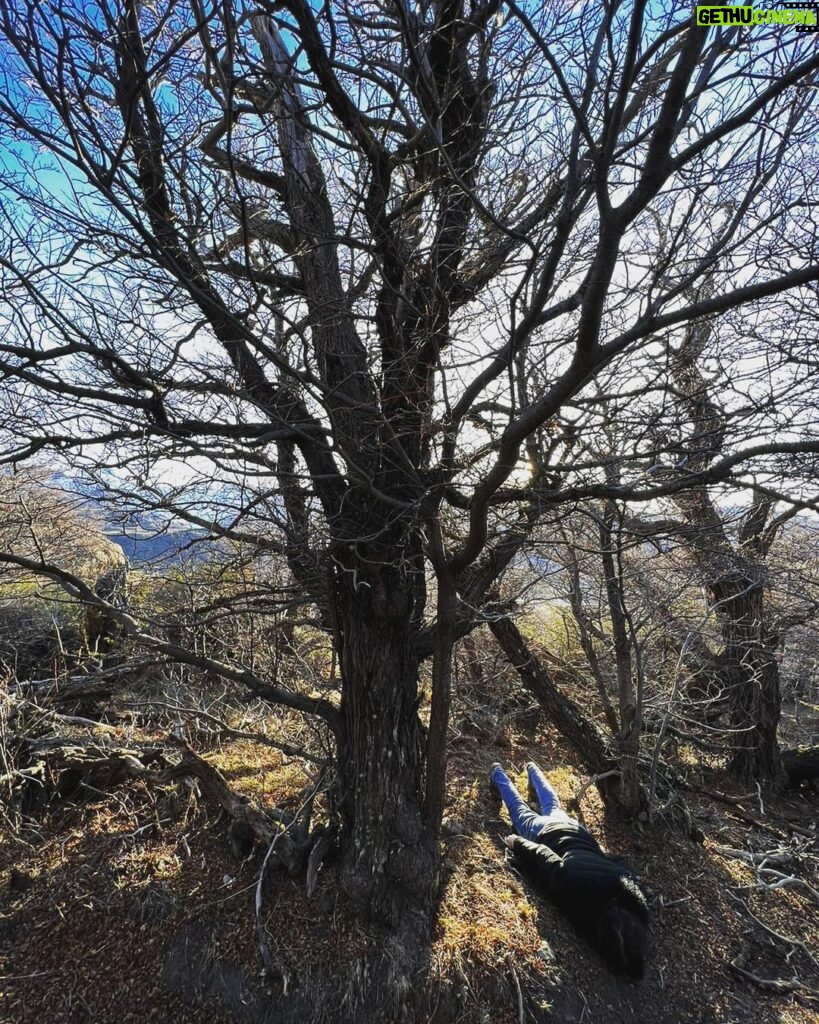 Larissa Bracher Instagram - Deitando nas paisagens Patagônicas.(cachoeira congelada e mirante de los condores em el chalten) #planking #patagonia #elchalten #fitzroy #calafate fotos @paulinhomoska