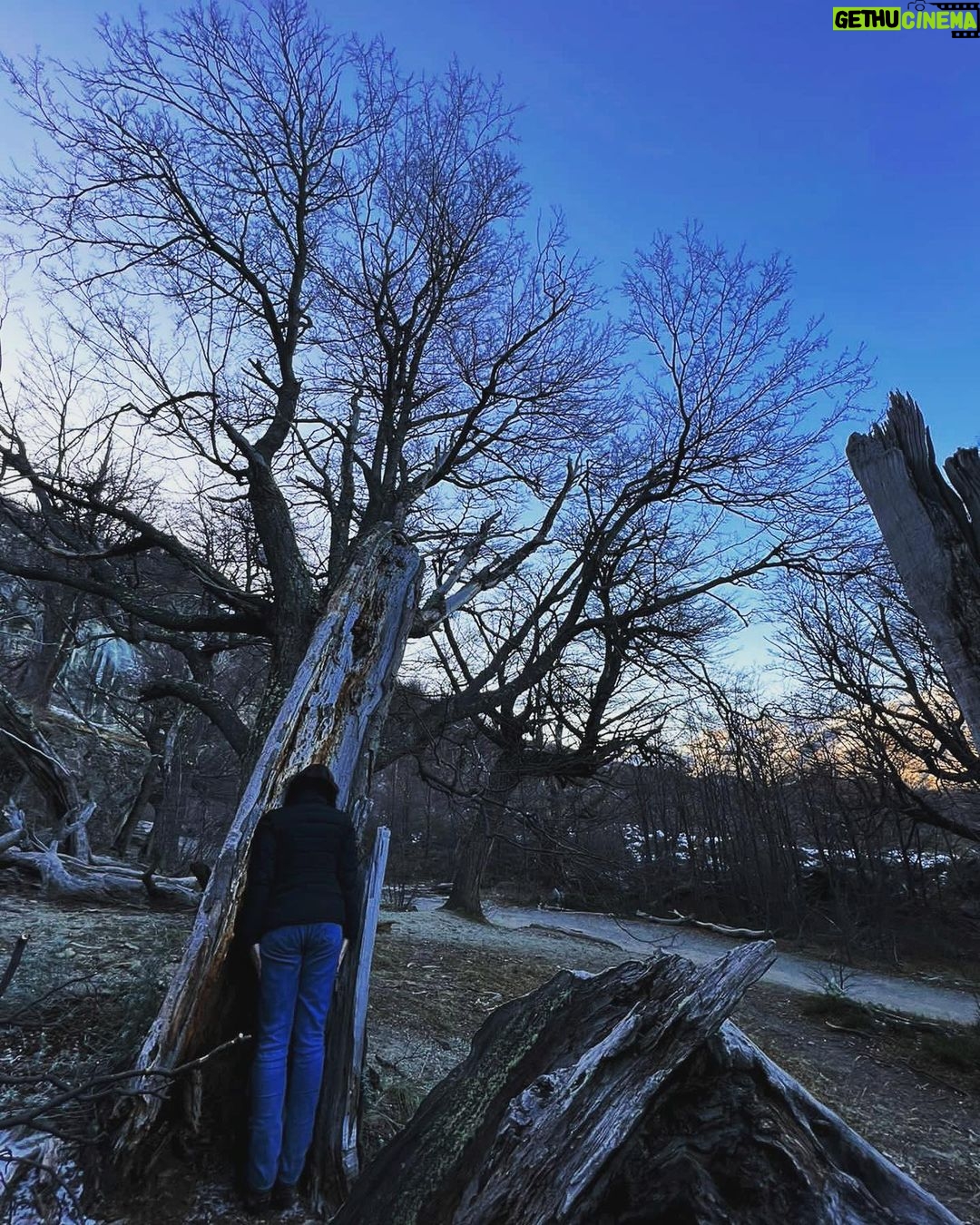 Larissa Bracher Instagram - Deitando nas paisagens Patagônicas.(cachoeira congelada e mirante de los condores em el chalten) #planking #patagonia #elchalten #fitzroy #calafate fotos @paulinhomoska