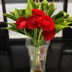 Larissa Bracher Instagram - Não vivo sem flores, amor, respeito, café.. y otras cositas mas..rs