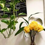 Larissa Bracher Instagram - Não vivo sem flores, amor, respeito, café.. y otras cositas mas..rs