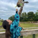 Larissa Manoela Instagram - Dia muito RADICAAAAAL no @buschgardensbr 💚 Gabaritamos todos os brinquedos e encaramos até montanha russa com uma queda de 90° graus 😱 Muitos gritos foram soltos pelo parque hahahah! Busch Gardens Tampa Bay