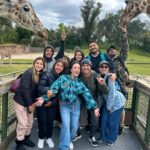Larissa Manoela Instagram - Dia muito RADICAAAAAL no @buschgardensbr 💚 Gabaritamos todos os brinquedos e encaramos até montanha russa com uma queda de 90° graus 😱 Muitos gritos foram soltos pelo parque hahahah! Busch Gardens Tampa Bay