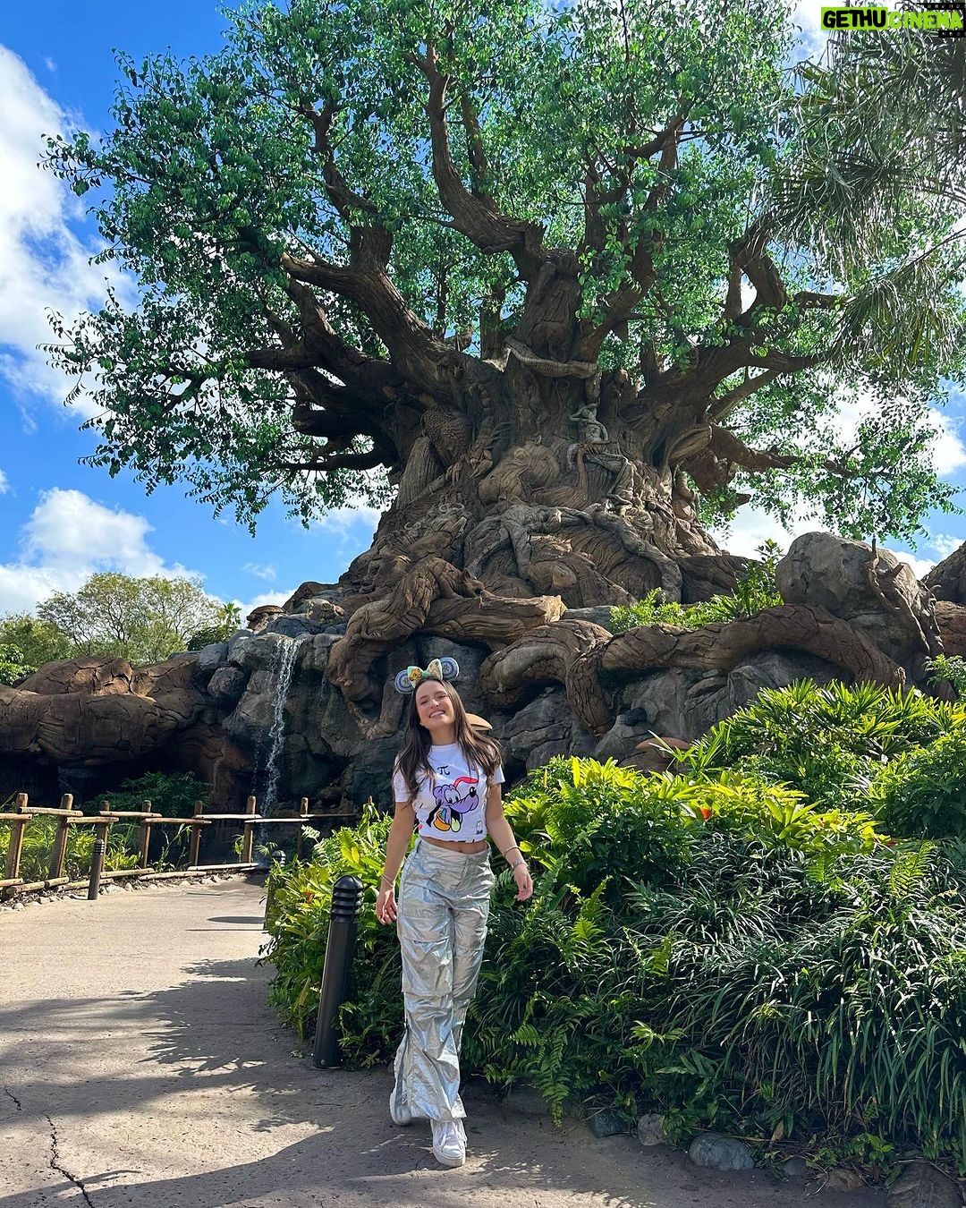 Larissa Manoela Instagram - The life is good 💚 @disneyworld.brasil Animal Kingdom, Disney World, FL