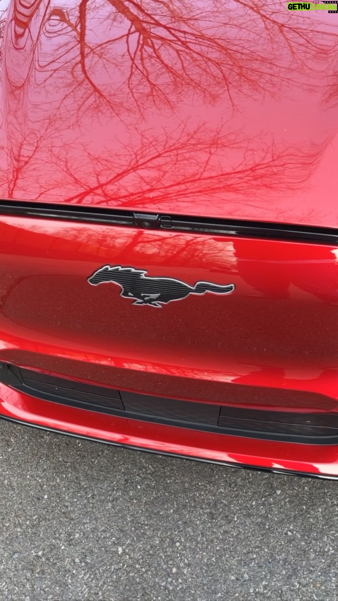 Larry Hryb - 1.7K Likes - Taking a look at the @ford Mustang Mach E.