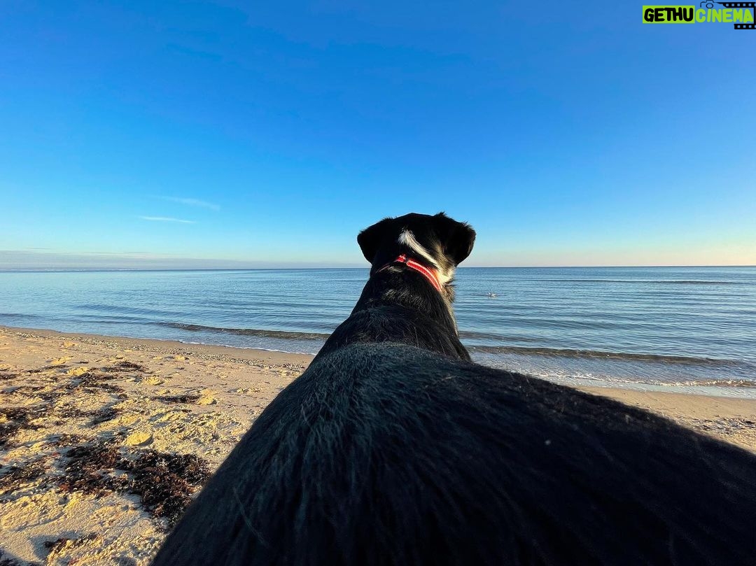 Lars Paulsen Instagram - Ich habe es geschossen, das Siegerfoto der Kategorie „Wildlife Photography 2021“ - vielen Dank an meine Schlange Milo!