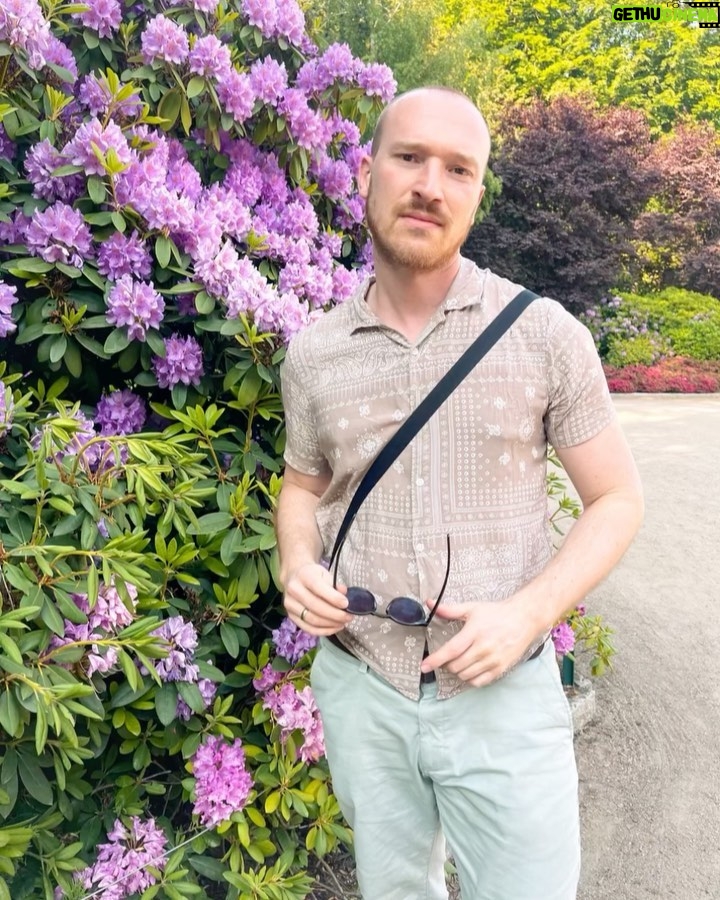 Lars Paulsen Instagram - Ich bin wie die Hortensien im Hintergrund: eigentlich ein Rhododendron. 💭