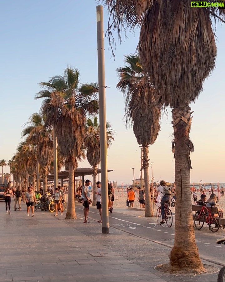 Laura Lajevardi Instagram - Summer 2022 Tel Aviv, Israel
