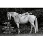 Laura Smet Instagram - Mise a nu @gilles_bensimon @ellefr Écuries du Grand Veneur