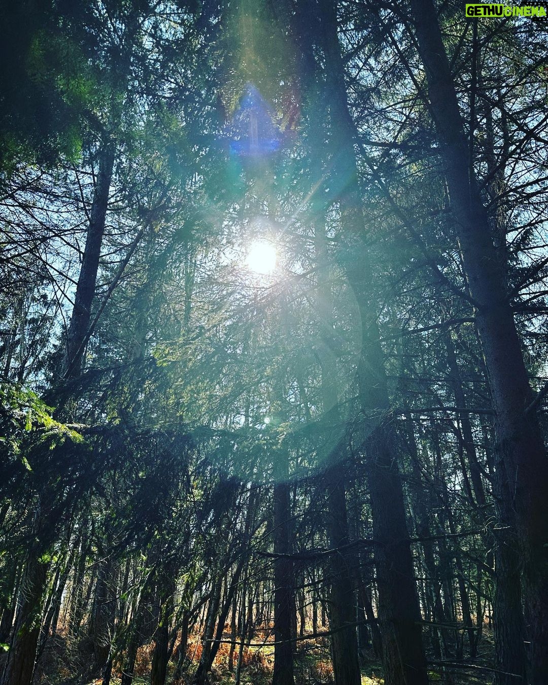 Laura Smet Instagram - Bon week-end de Pâques 🌳✨💚
