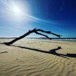 Laura Smet Instagram -